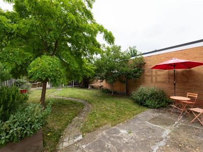 Picture 24